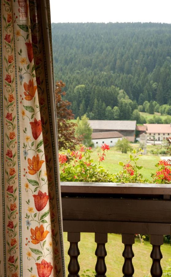 Landhotel Bayerwald Grafling Quarto foto