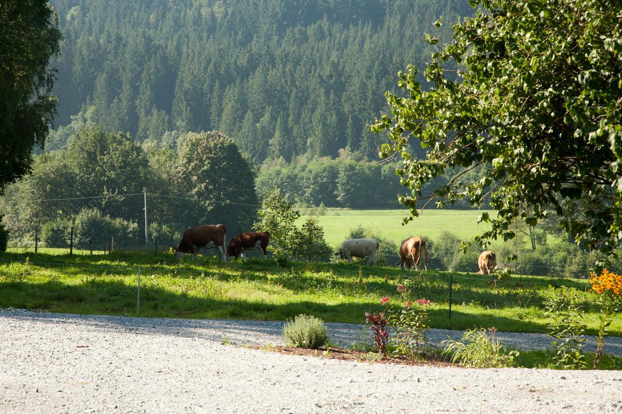 Landhotel Bayerwald Grafling Exterior foto